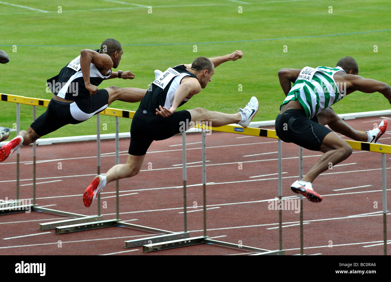 Men`s sprint hurdles race Stock Photo Alamy